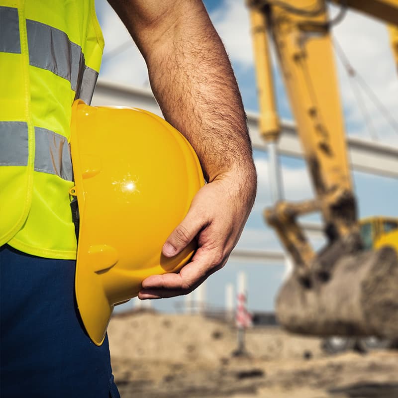 House Under The Palms